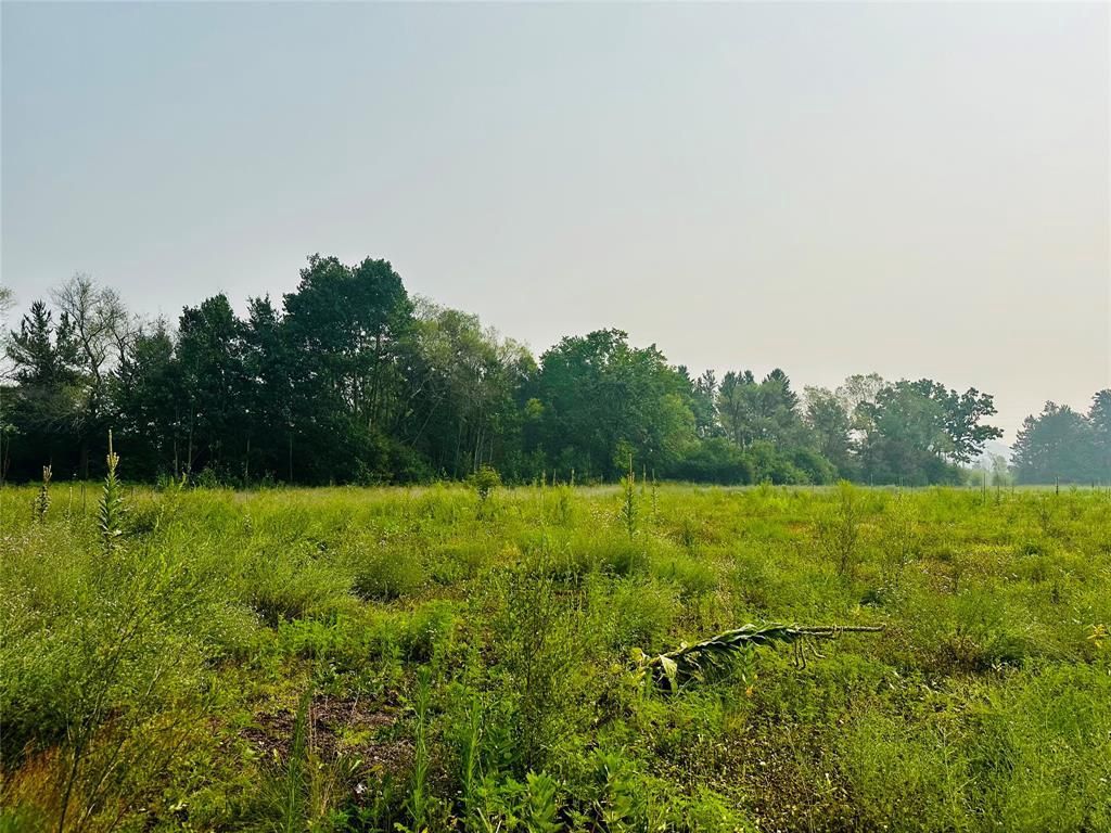 Photo of 1.25 Acres 19th AVENUE, Chippewa Falls, WI 54729 (MLS # 1603305)