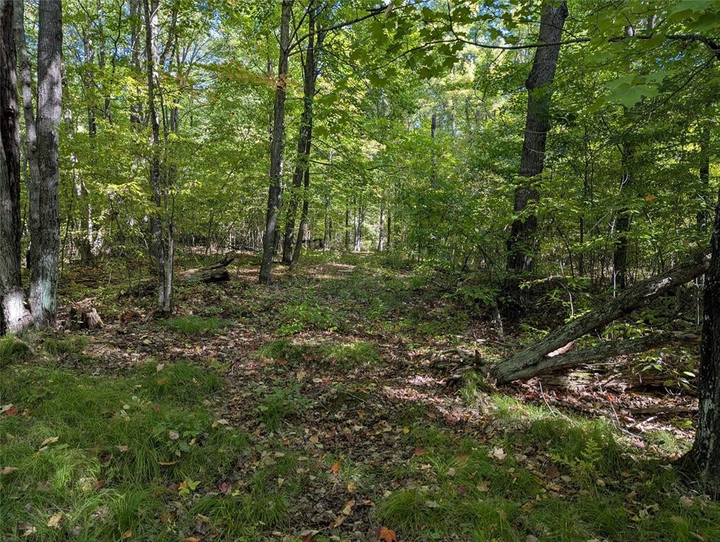 Photo of Lot 17 Rabbit Run, Ojibwa, WI 54862 (MLS # 1605249)