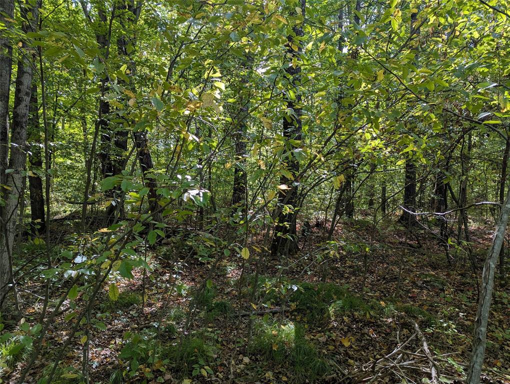 Photo of Lot 17 Rabbit Run, Ojibwa, WI 54862 (MLS # 1605249)