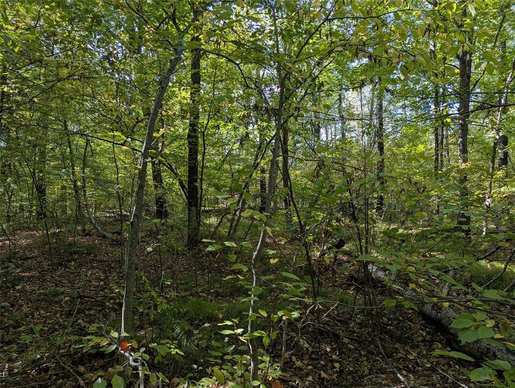 Photo of Lot 17 Rabbit Run, Ojibwa, WI 54862 (MLS # 1605249)