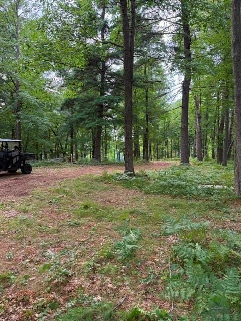 Photo of Lot 3 9 3/4 AVENUE, Chetek, WI 54728 (MLS # 1603971)