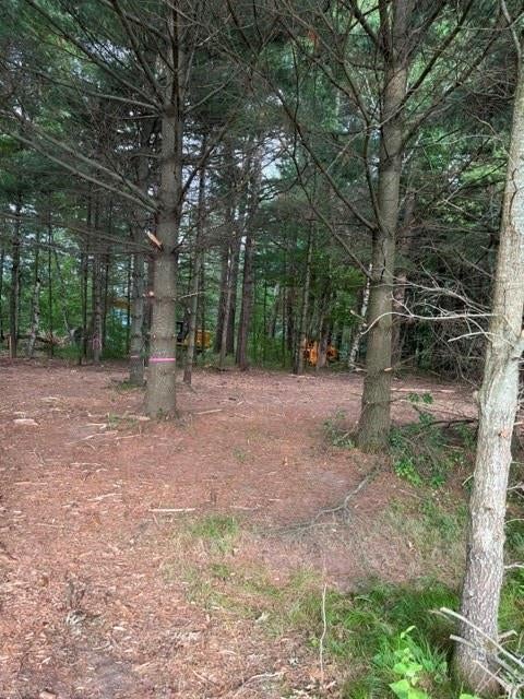 Photo of Lot 3 9 3/4 AVENUE, Chetek, WI 54728 (MLS # 1603971)