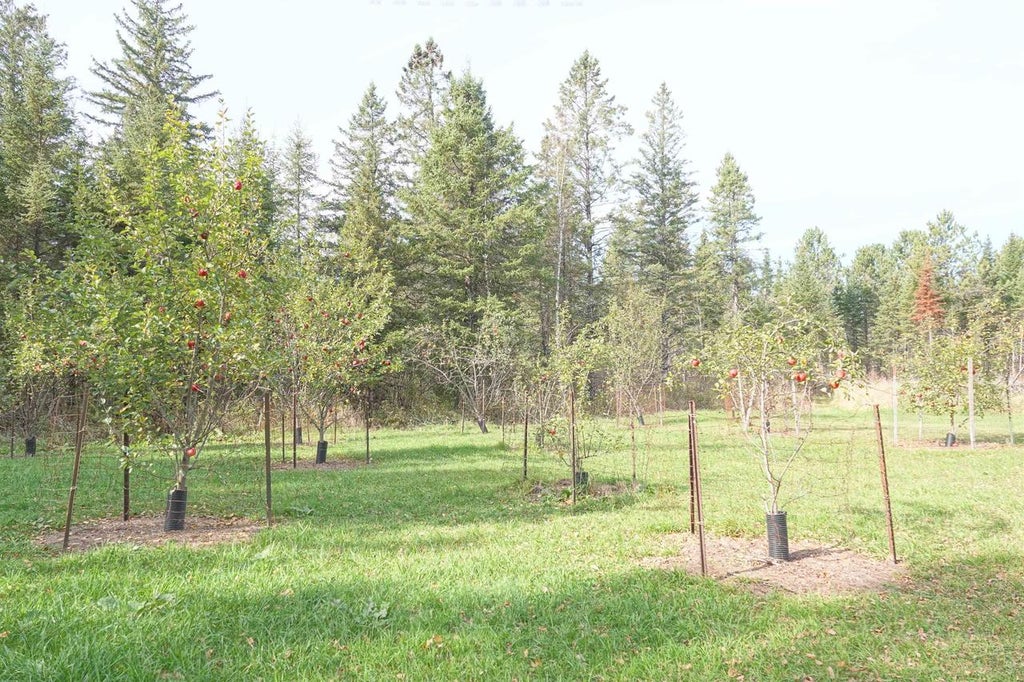 Photo of W10534 County Road D, Westboro, WI 54490 (MLS # 22605220)