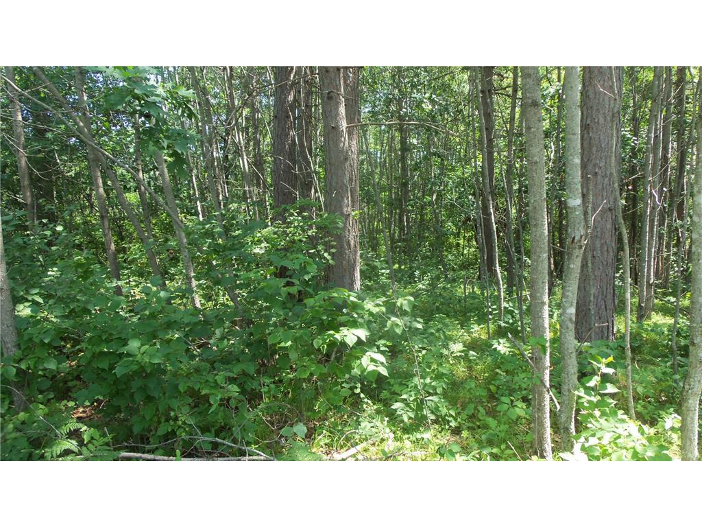 Photo of Lot 6 Birch Tree Trl, Spooner, WI 54801 (MLS # 7120162)