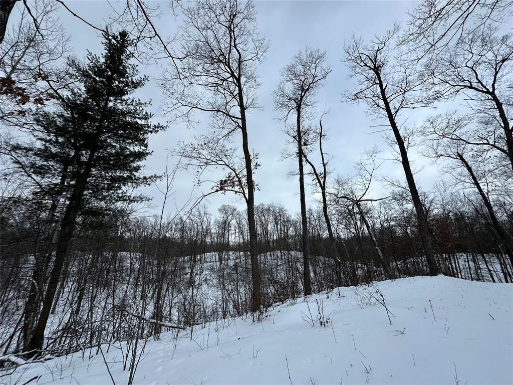 Photo of TBD 13.88 Acres Antler Lake DRIVE, Milltown, WI 54858 (MLS # 1599154)