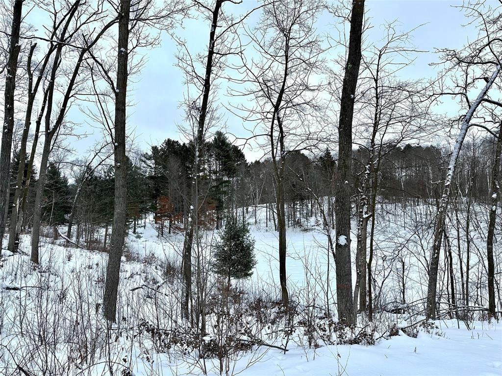 Photo of TBD 13.88 Acres Antler Lake DRIVE, Milltown, WI 54858 (MLS # 1599154)