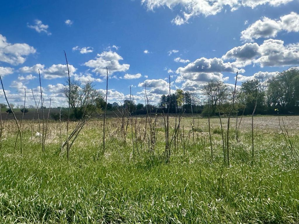 Photo of Bear Lake ROAD, Manawa, WI 54949 (MLS # 50320162)
