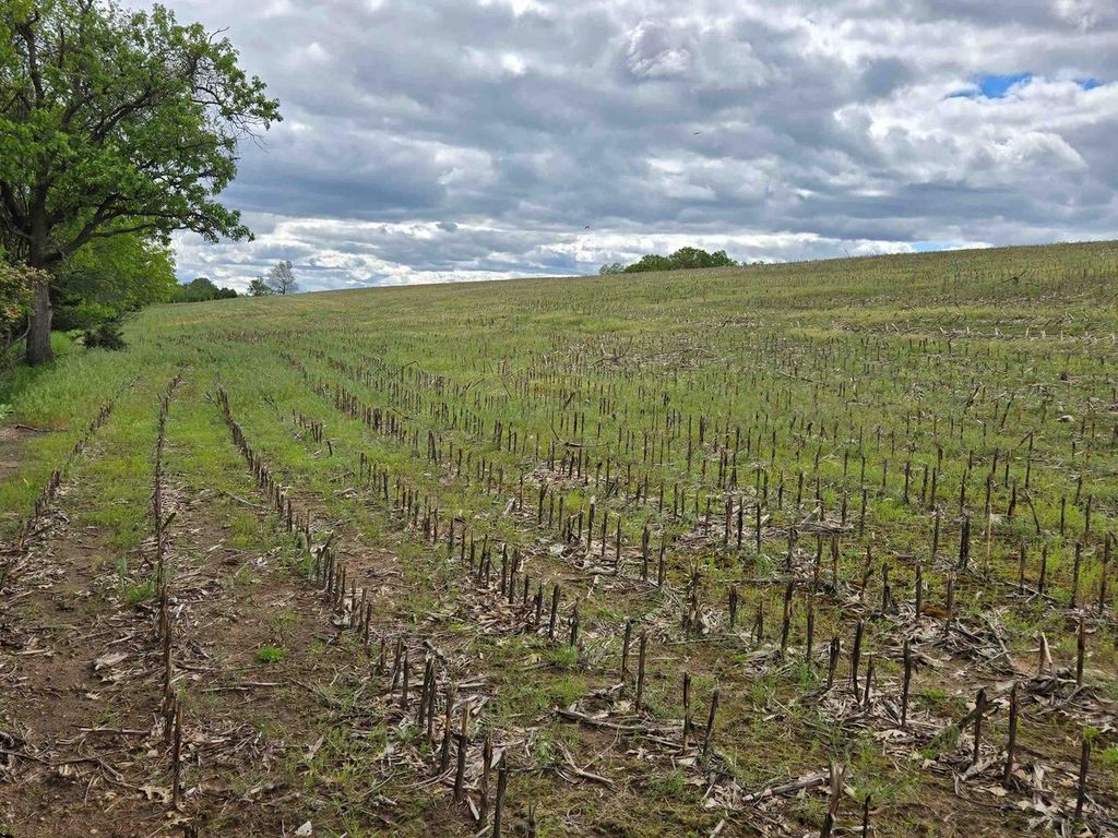 Photo of Lot Oxbow TRAIL, Princeton, WI 54968 (MLS # 2023770)