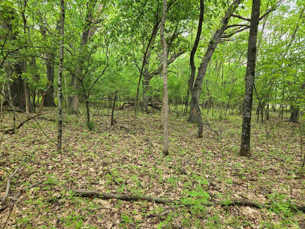 Photo of Lot Oxbow TRAIL, Princeton, WI 54968 (MLS # 2023770)