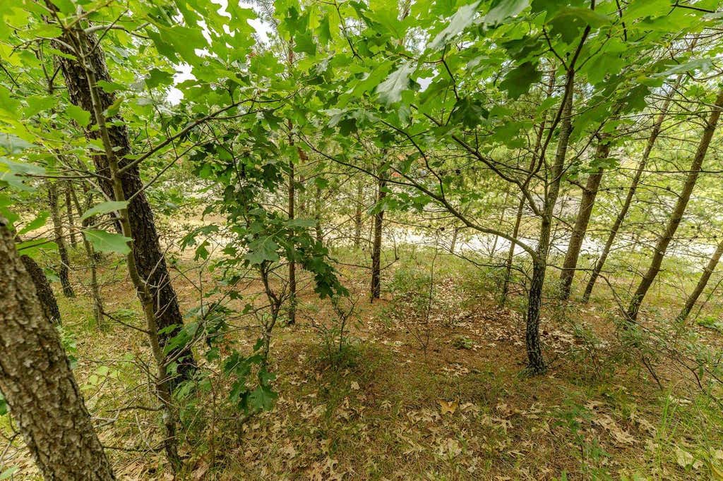 Photo of 222 Marsh LANE, Warrens, WI 54666 (MLS # 2030151)