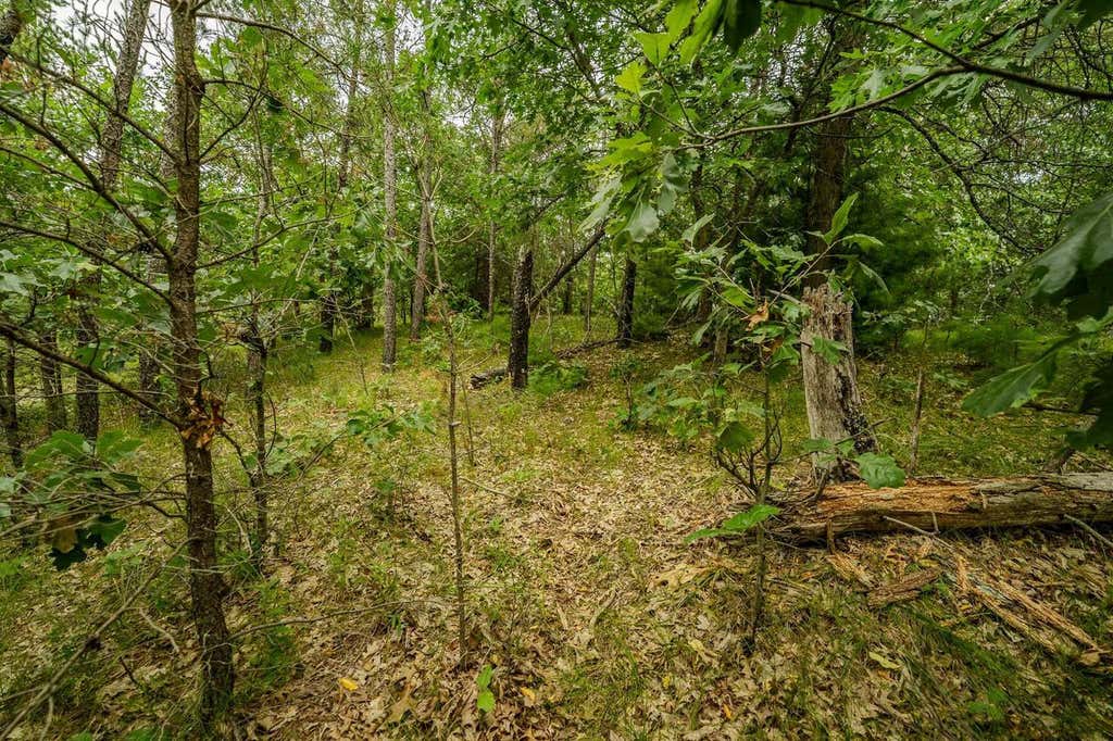 Photo of 222 Marsh LANE, Warrens, WI 54666 (MLS # 2030151)