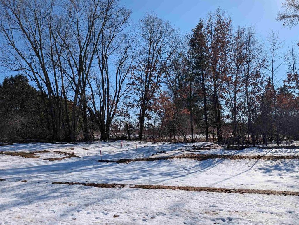 Photo of 521 Amberwood WAY #Lot 104, Plover, WI 54467 (MLS # 22600640)