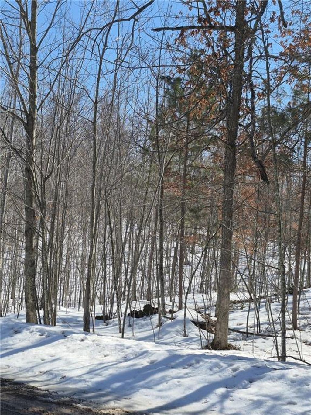 Photo of Lots 10 &amp; 11 Wintergreen TRAIL, Danbury, WI 54830 (MLS # 1598910)
