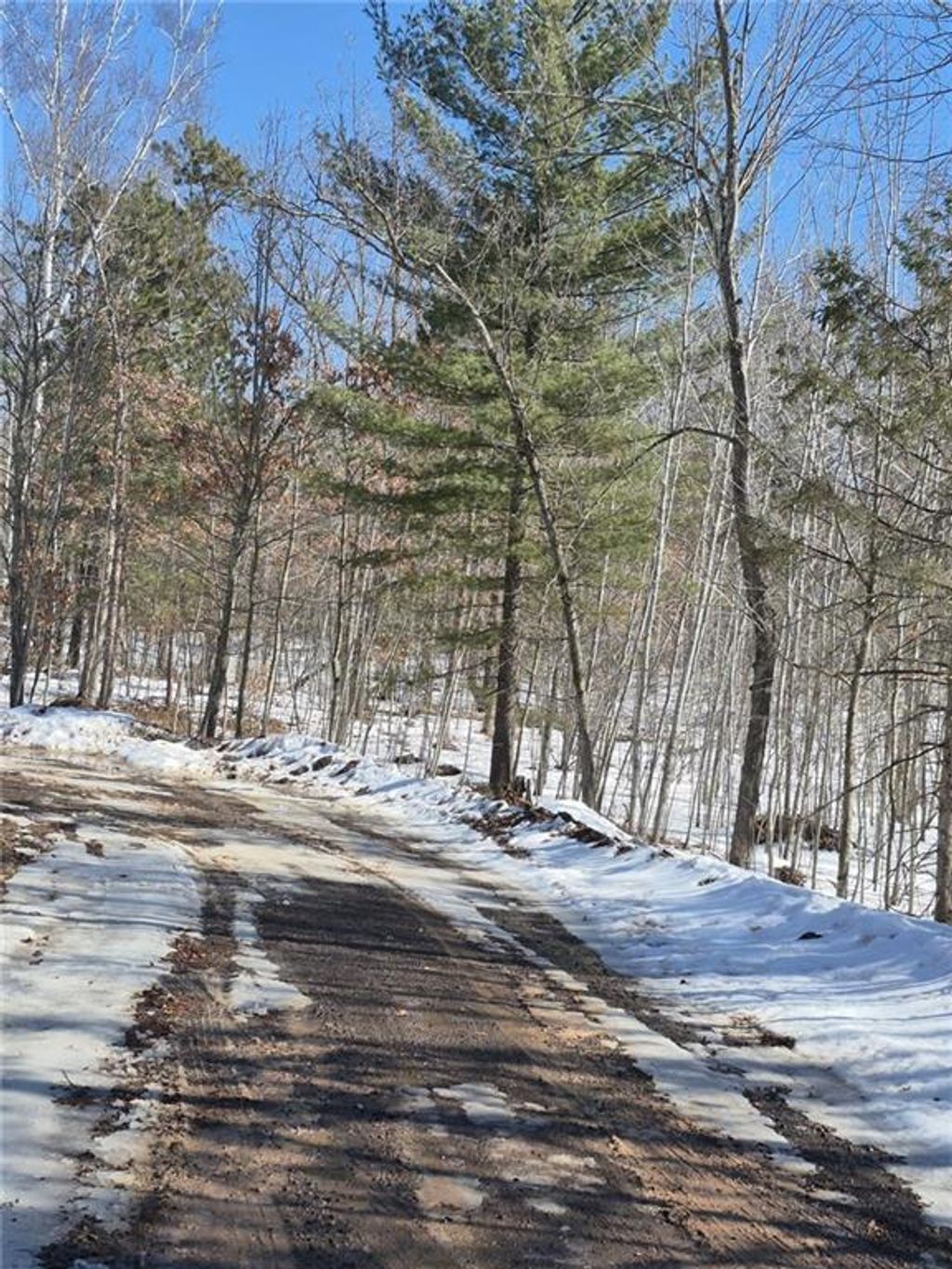 Photo of Lots 10 &amp; 11 Wintergreen TRAIL, Danbury, WI 54830 (MLS # 1598910)