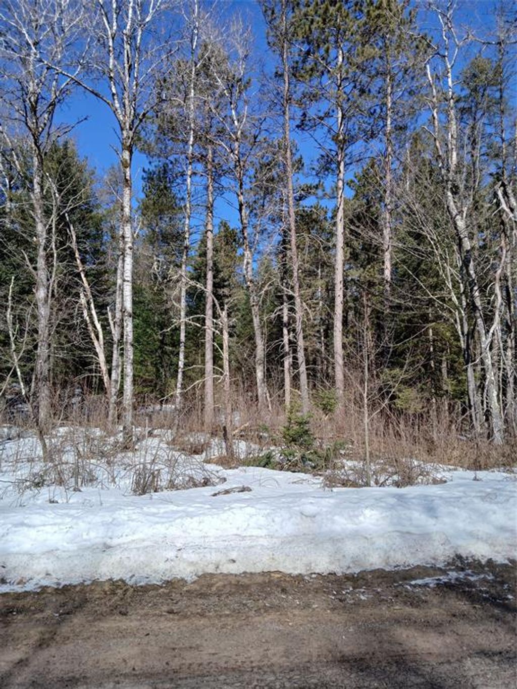 Photo of Lot 2 Lake Lodge DRIVE, Cable, WI 54821 (MLS # 1599335)