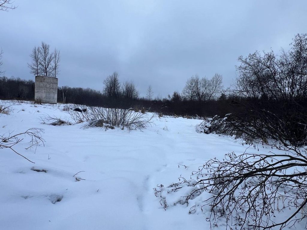 Photo of Lot On Worsech ROAD, Catawba, WI 54515 (MLS # 22600398)
