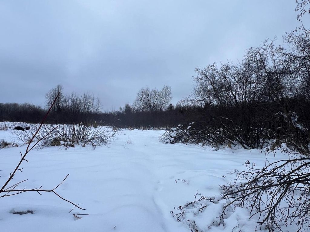 Photo of Lot On Worsech ROAD, Catawba, WI 54515 (MLS # 22600398)