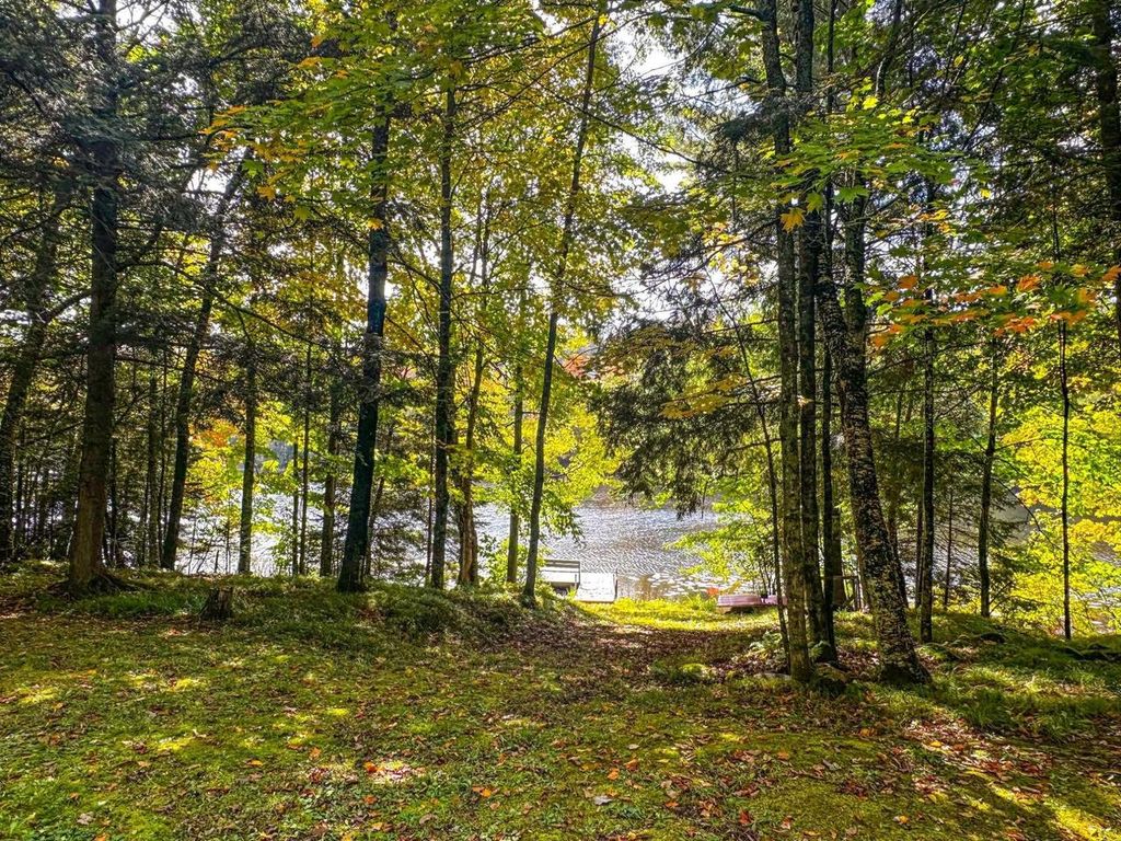 Photo of W8155 Demars Bridge LANE, Park Falls, WI 54552 (MLS # 22504562)