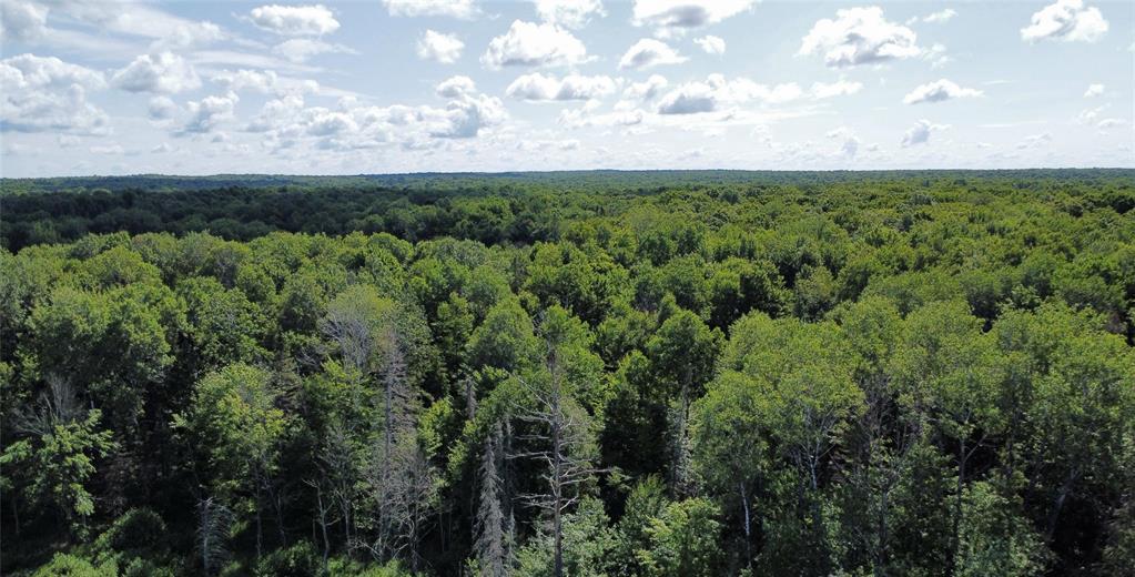 Photo of W10816 Bergman ROAD, Merrill, WI 54452 (MLS # 1603520)