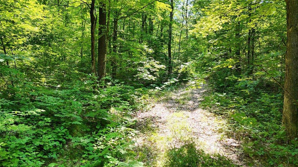 Photo of Lot 15 Wolf LANE, Hayward, WI 54843 (MLS # 1603884)