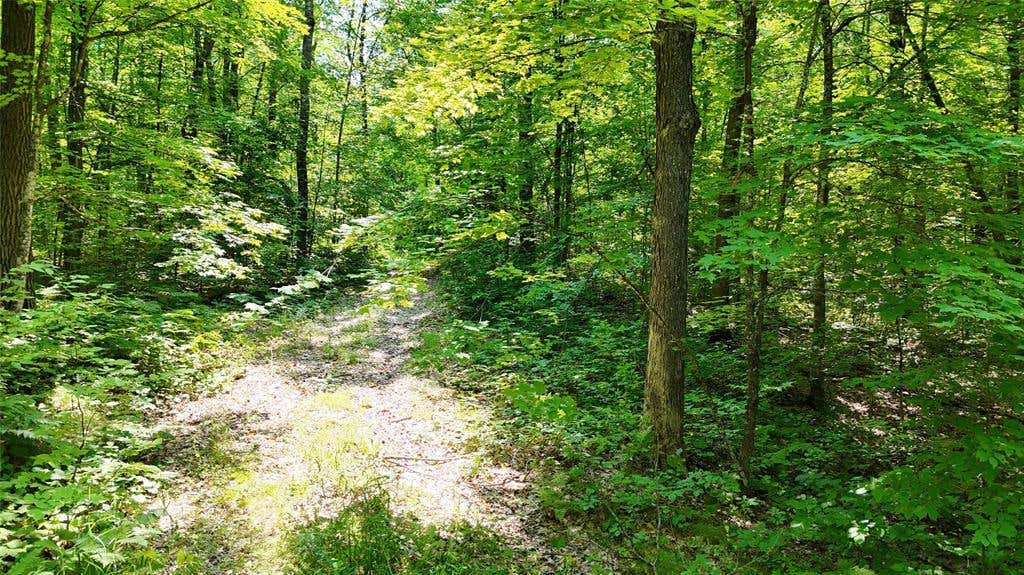 Photo of Lot 15 Wolf LANE, Hayward, WI 54843 (MLS # 1603884)
