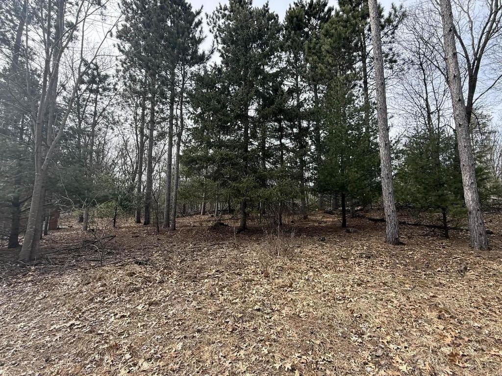 Photo of 2829 4th AVENUE, Oxford, WI 53952 (MLS # 2019945)