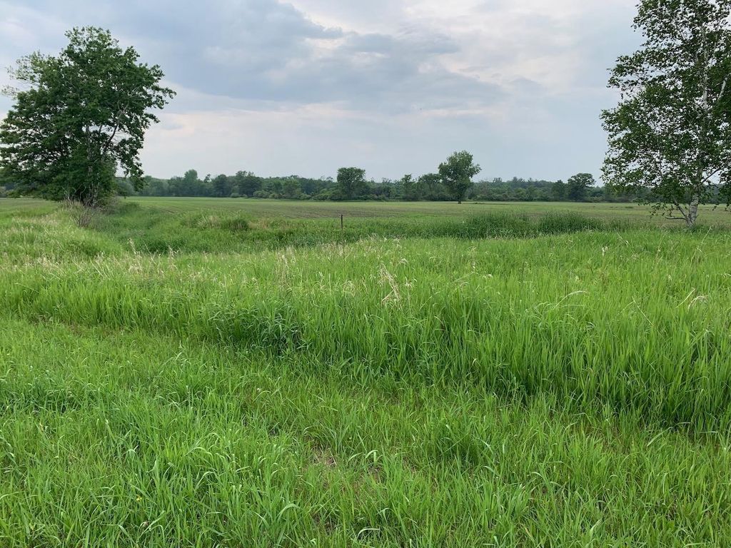 Photo of 20 acres 5th AVENUE, Camp Douglas, WI 54618 (MLS # 2016213)