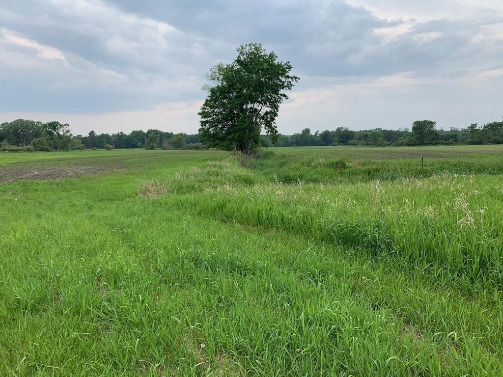 Photo of 20 acres 5th AVENUE, Camp Douglas, WI 54618 (MLS # 2016213)