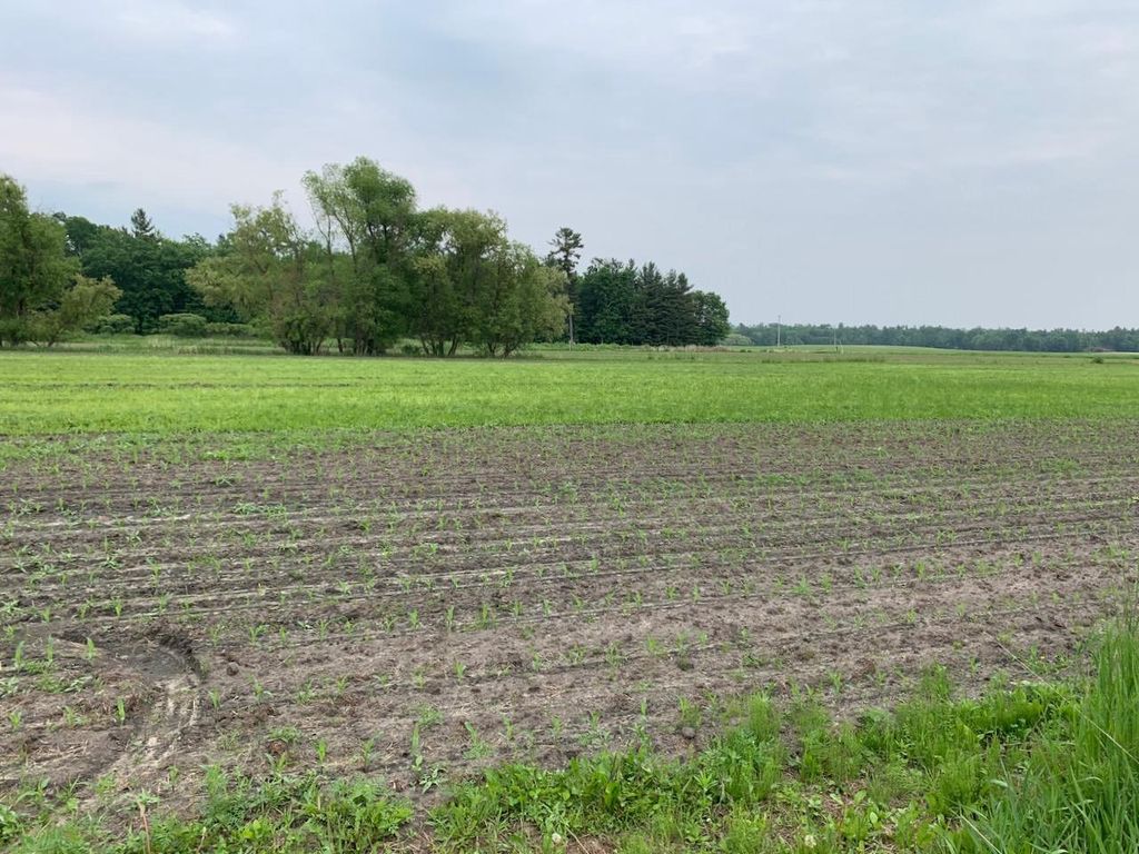 Photo of 20 acres 5th AVENUE, Camp Douglas, WI 54618 (MLS # 2016213)