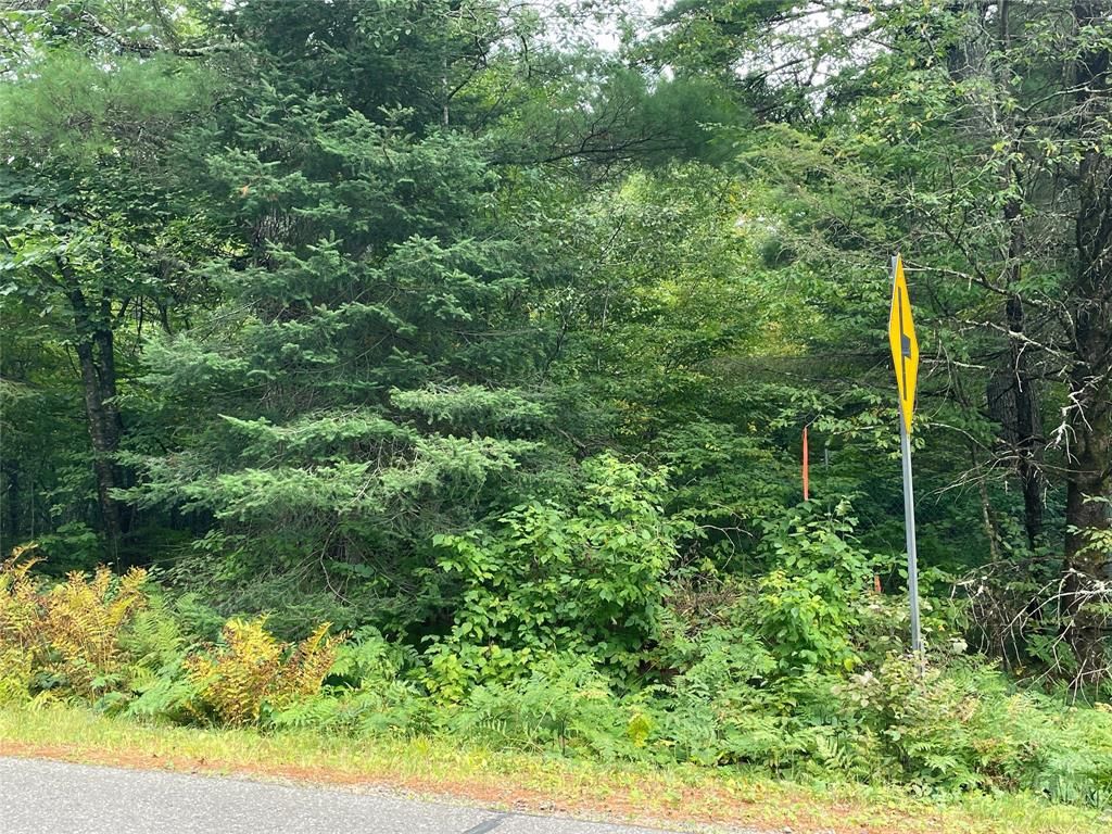 Photo of Lot 4 Hermosa LANE, Hayward, WI 54843 (MLS # 1600909)