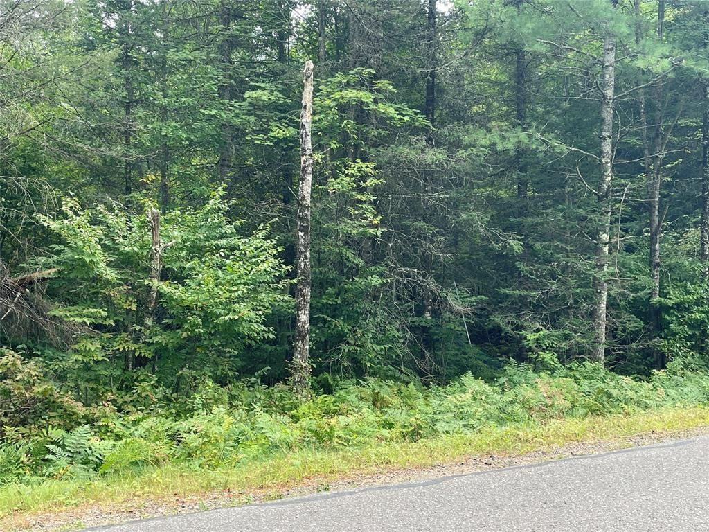 Photo of Lot 4 Hermosa LANE, Hayward, WI 54843 (MLS # 1600909)