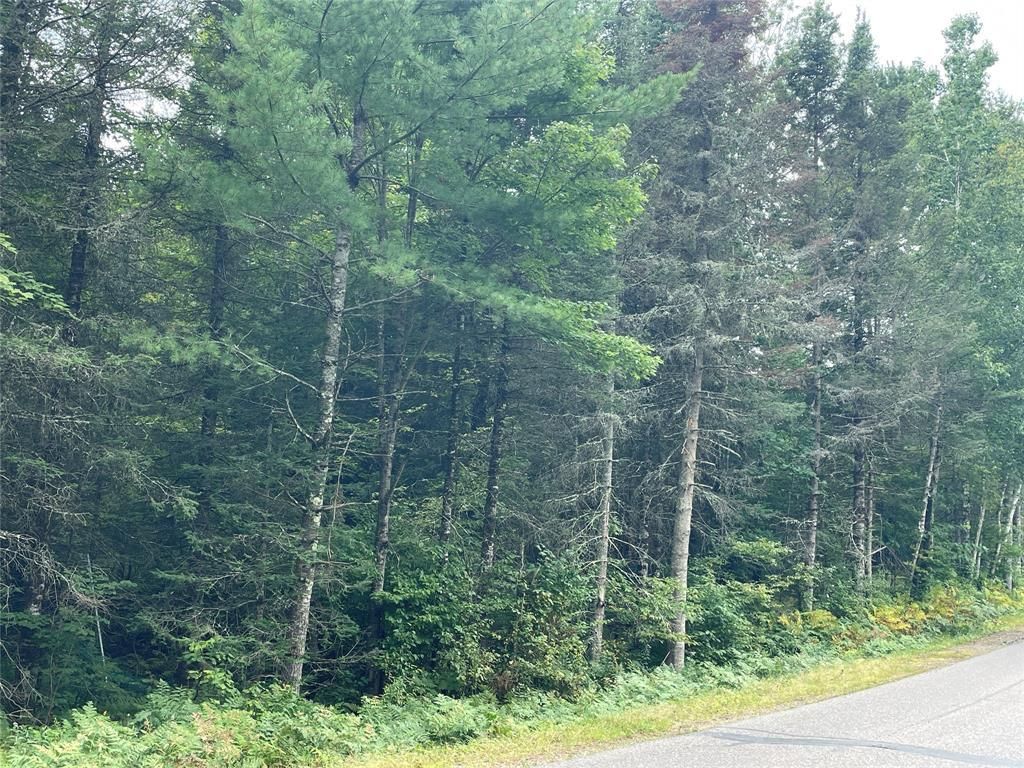 Photo of Lot 4 Hermosa LANE, Hayward, WI 54843 (MLS # 1600909)