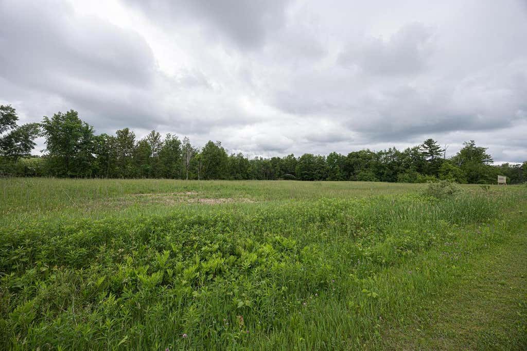 Photo of Lydie LANE, Pound, WI 54161 (MLS # 50327156)