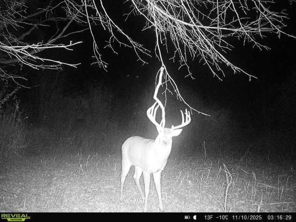 Photo of 00 270th AVENUE, Luck, WI 54853 (MLS # 1598341)