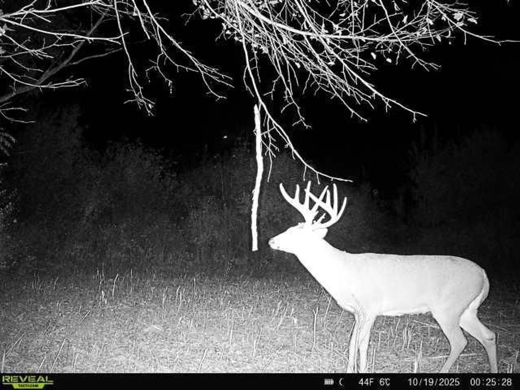 Photo of 00 270th AVENUE, Luck, WI 54853 (MLS # 1598341)