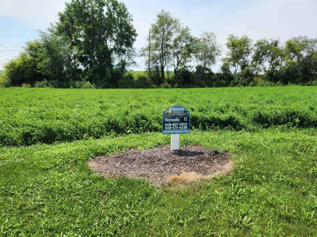 Photo of 848 Valley ROAD, Dane, WI 53529 (MLS # 2018466)