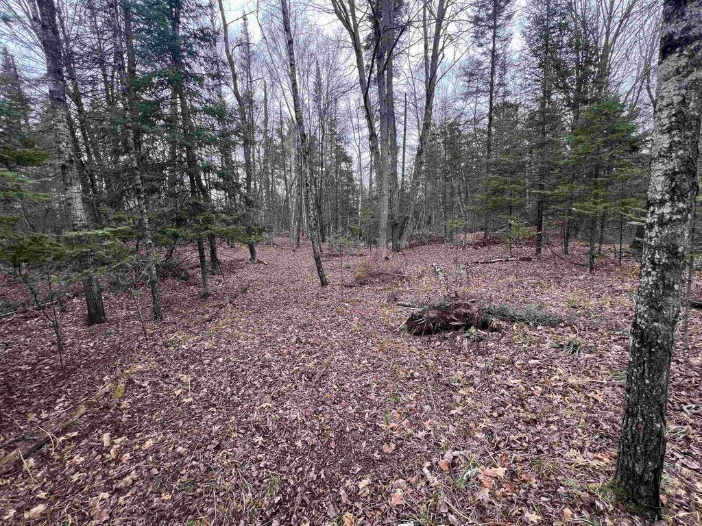 Photo of Nejedlo ROAD, Wausaukee, WI 54177 (MLS # 50324431)