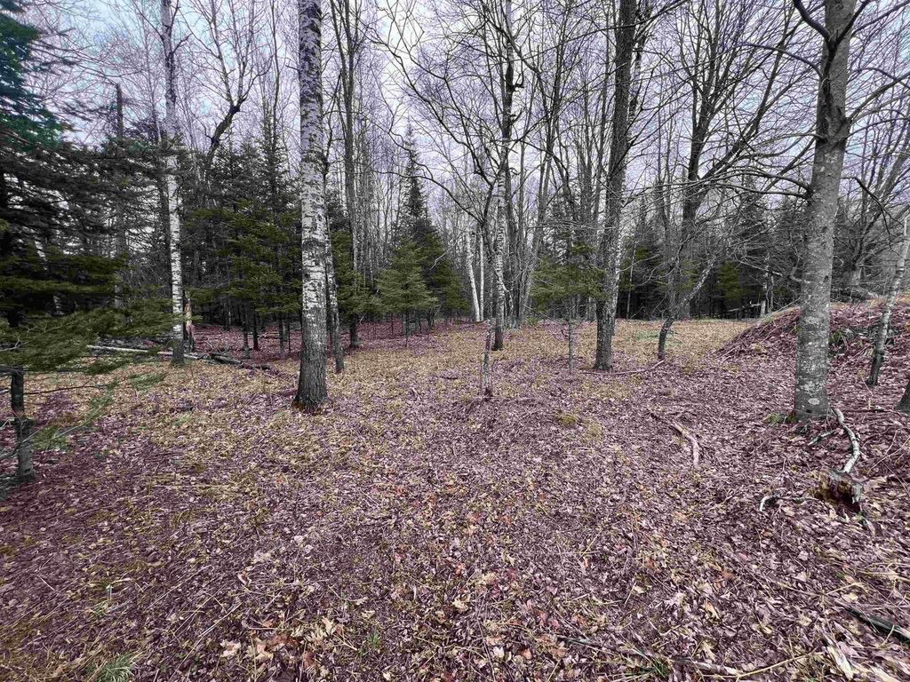 Photo of Nejedlo ROAD, Wausaukee, WI 54177 (MLS # 50324431)