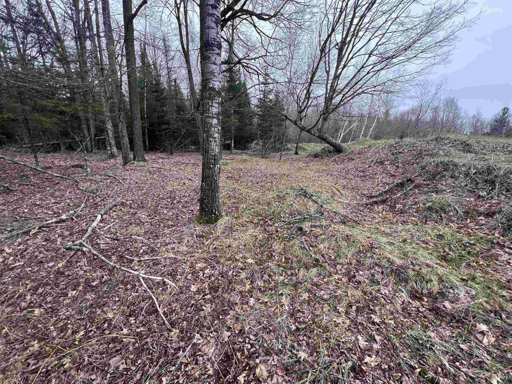 Photo of Nejedlo ROAD, Wausaukee, WI 54177 (MLS # 50324431)