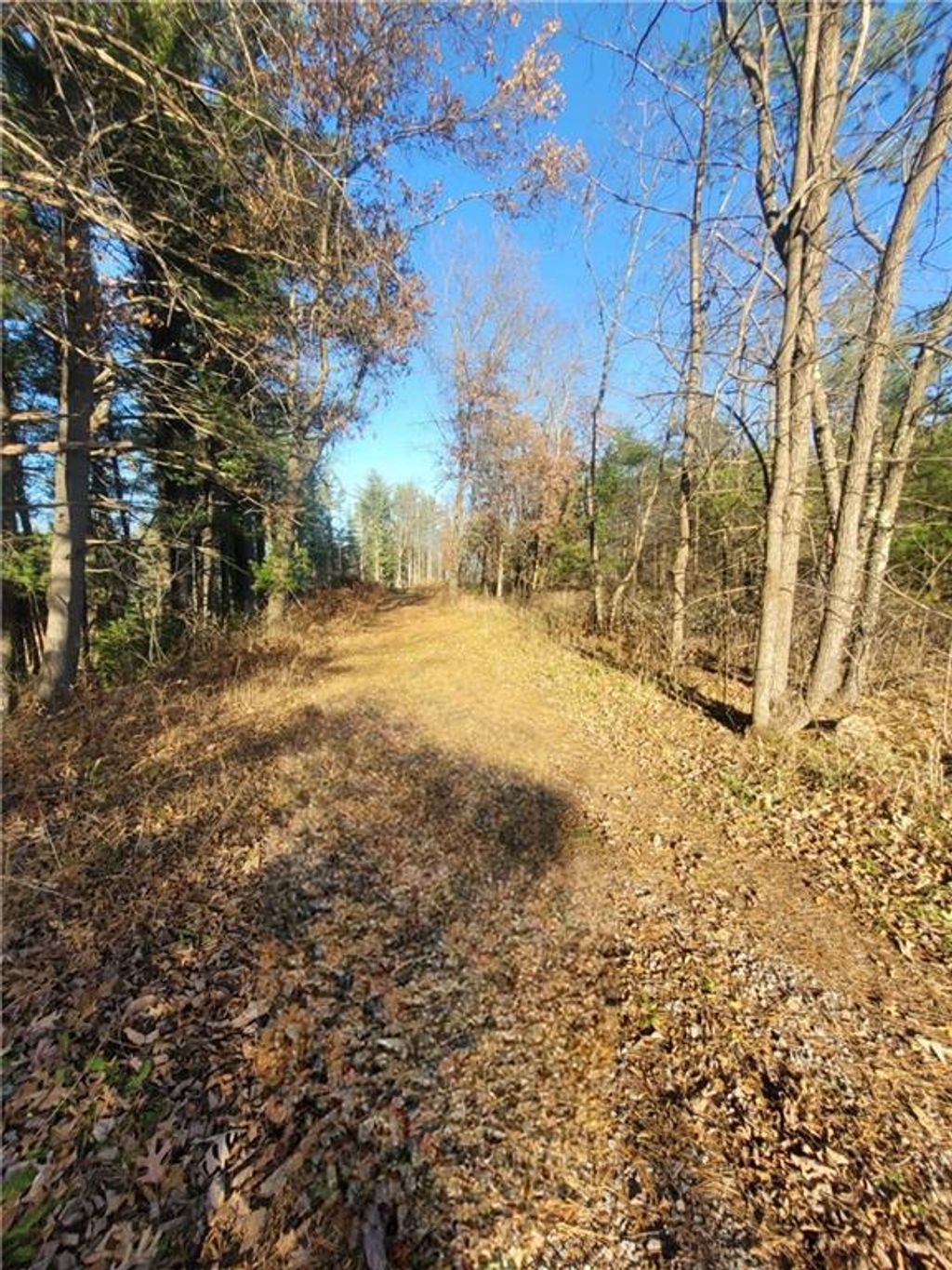 Photo of 0 Lower Lake Dr, Merrillan, WI 54754 (MLS # 1597203)