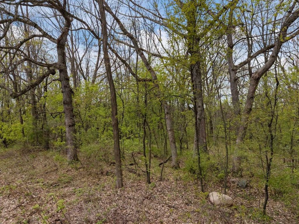 Photo of Morey DRIVE, Waupaca, WI 54981 (MLS # 50325146)