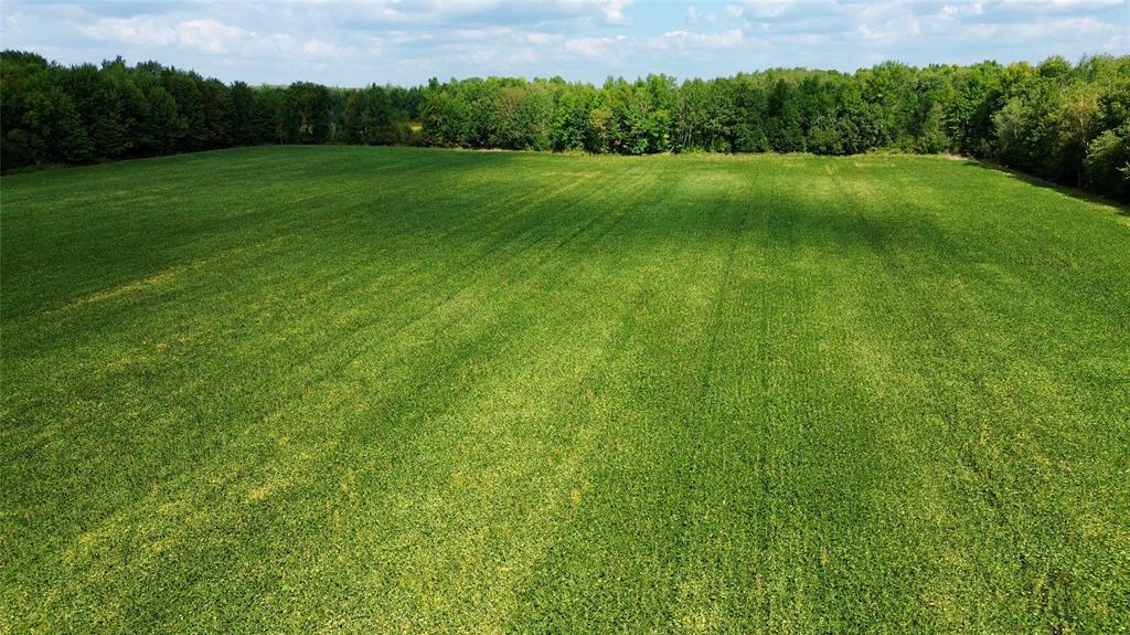 Photo of W16860 Cty Rd D, Sheldon, WI 54766 (MLS # 1604631)
