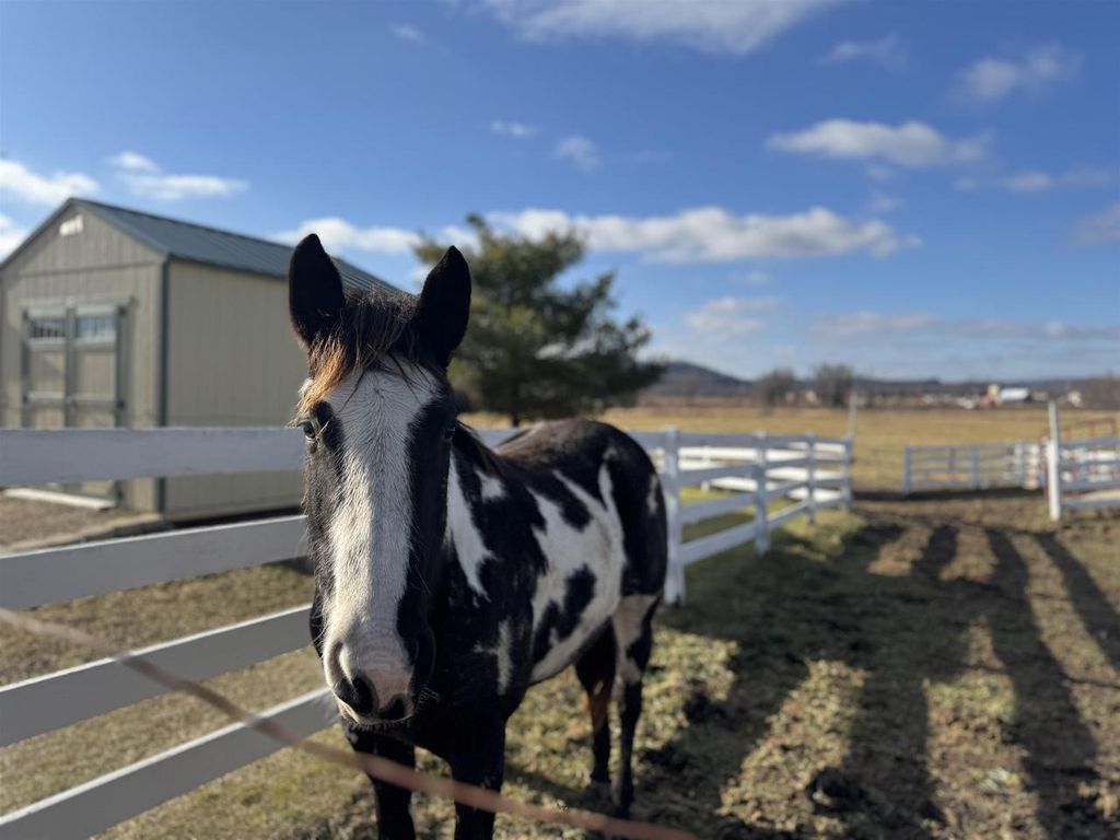 Photo of 28632 County Hwy BA, Richland Center, WI 53581 (MLS # 2014652)