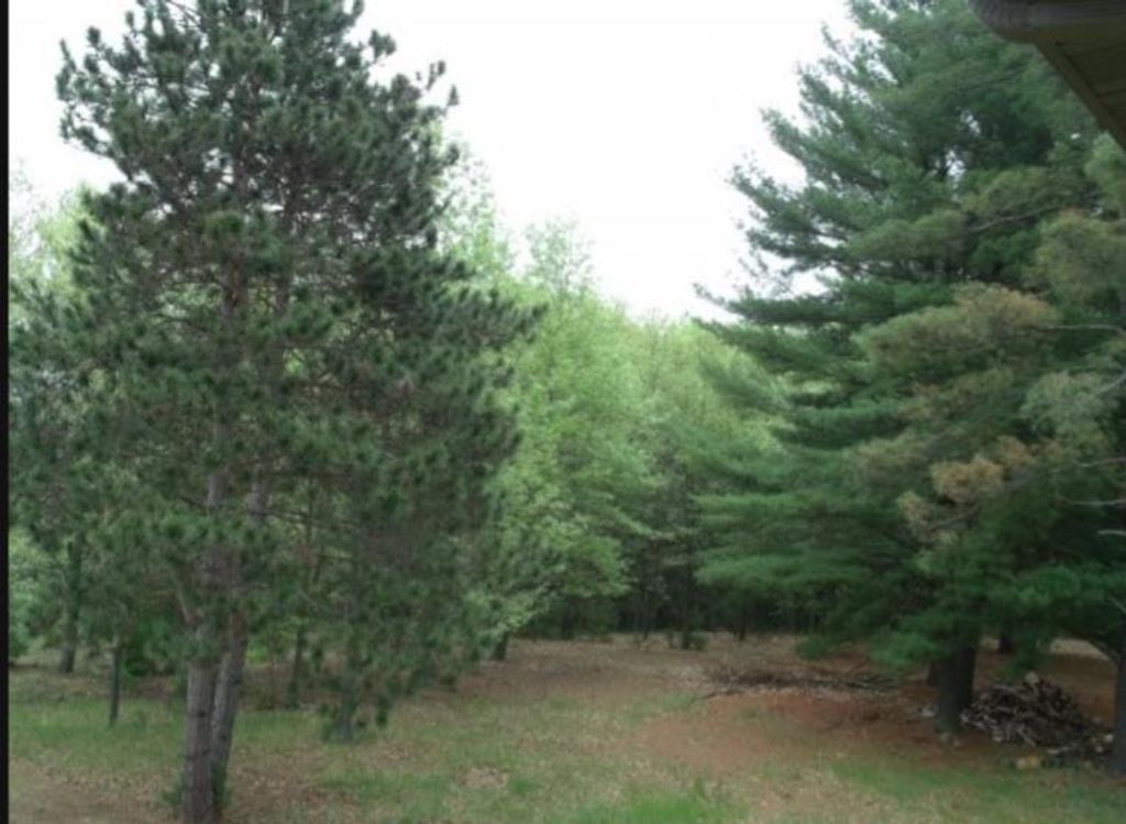 Photo of N2837 Ona Pines ROAD, Weyauwega, WI 54883 (MLS # 50320367)