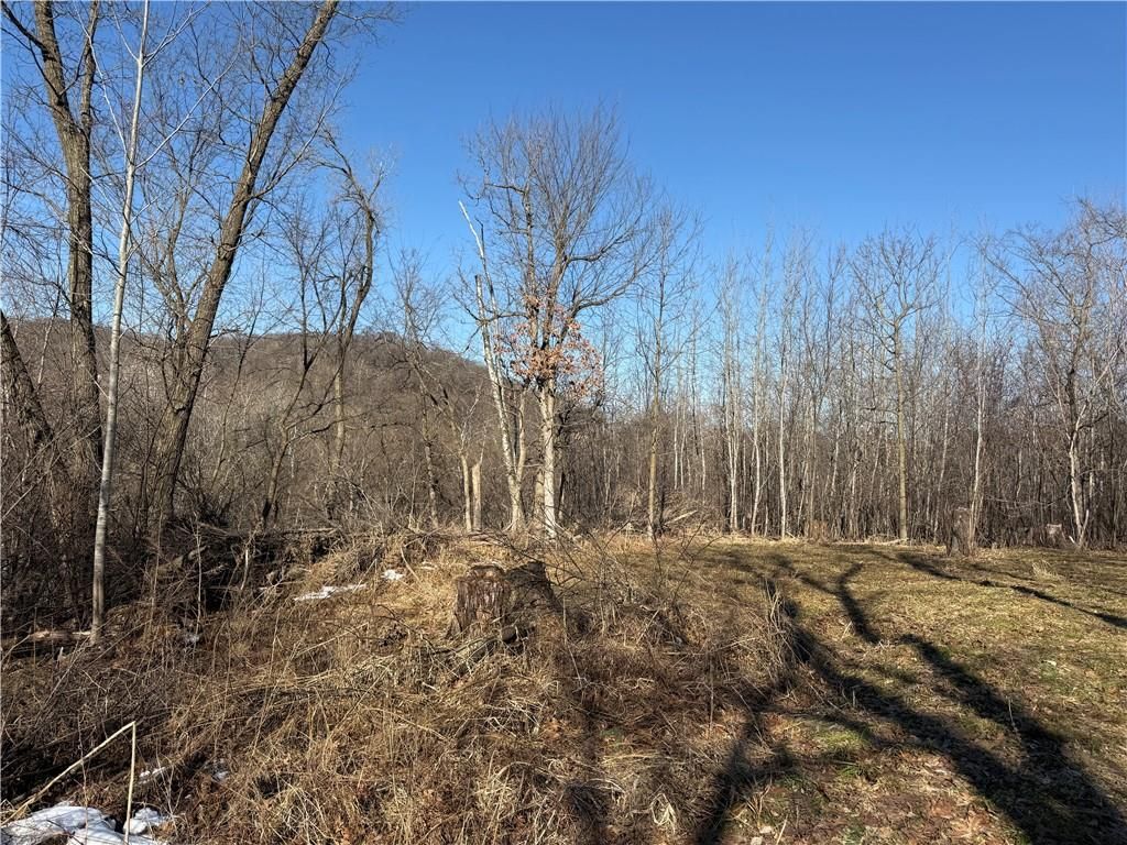 Photo of XXX County Rd D, Whitehall, WI 54773 (MLS # 1598795)