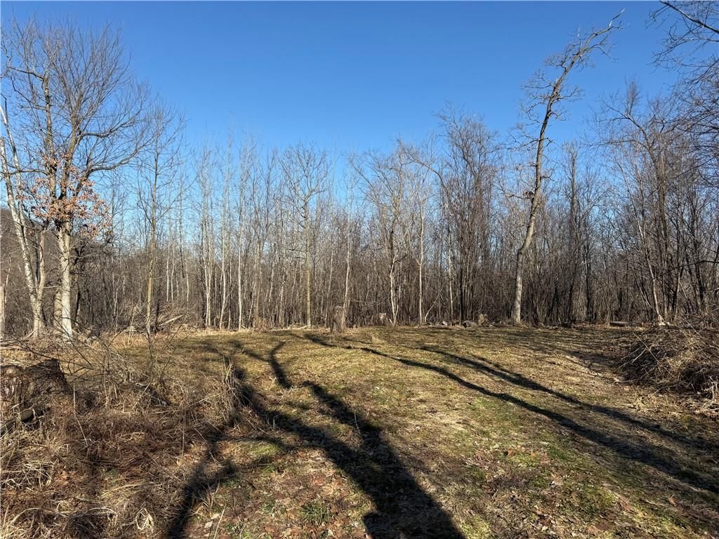 Photo of XXX County Rd D, Whitehall, WI 54773 (MLS # 1598795)