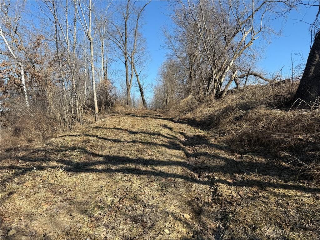Photo of XXX County Rd D, Whitehall, WI 54773 (MLS # 1598795)