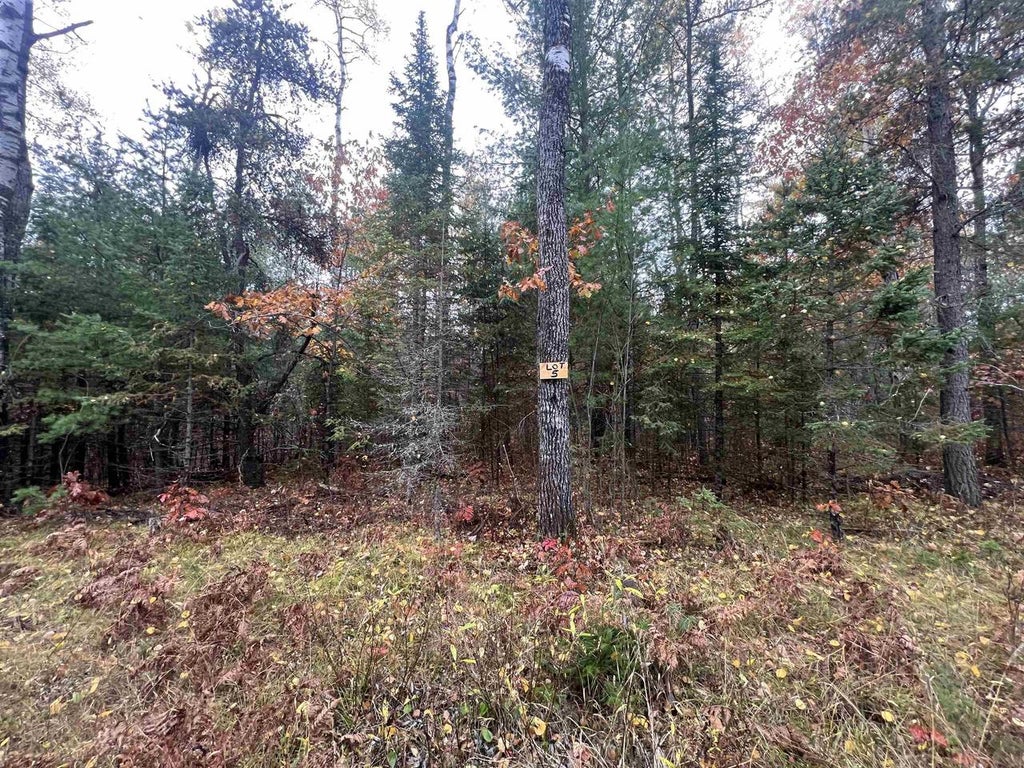 Photo of Trout Haven ROAD, Dunbar, WI 54119 (MLS # 50334576)