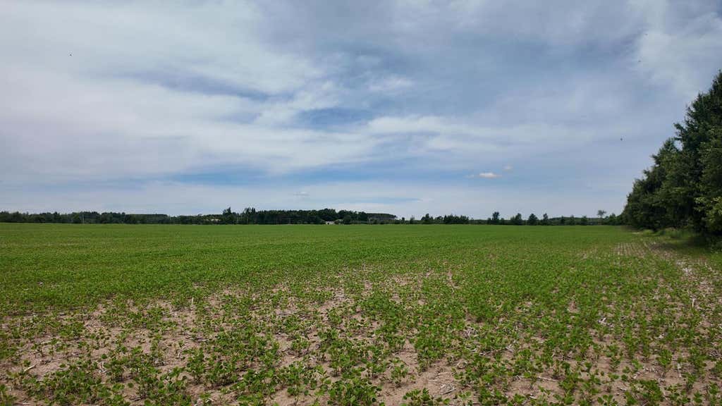 Photo of Lot 1 Peshtigo River ROAD, Laona, WI 54541 (MLS # 1969472)