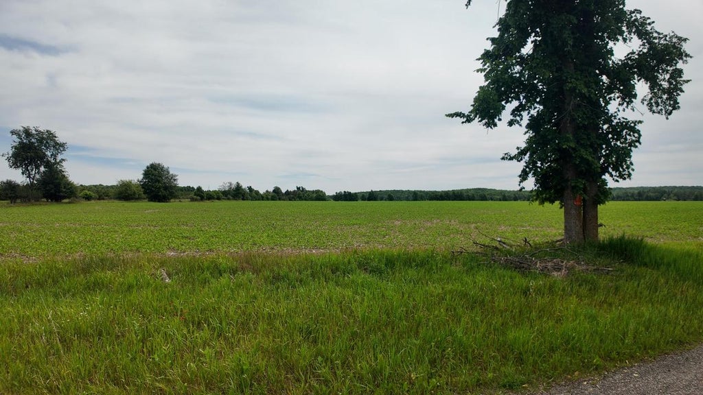 Photo of Lot 1 Peshtigo River ROAD, Laona, WI 54541 (MLS # 1969472)